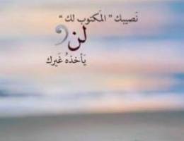  للإيجار سرداب فى العارضيه لتخزين المواد الغذائية 