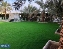  للايجار شقه ارضيه فى الصباحيه 