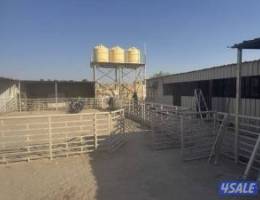  لإيجار شهري لأهل الحلال 