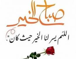  للايجار شقق فى ابو فطيره 