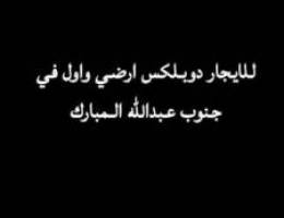  للايجار دوبلكس ارضي واول في جنوب عبدالله المبارك 