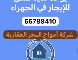  ‏شقة للإيجار في الجهراء الواحة 