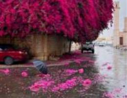  نص جاخور بالوفره 