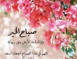  للايجار برقه دور اول مصعد ٤غرف وصاله كبيره ومطبخ ٣حمام للايجار ٦٠٠دك 