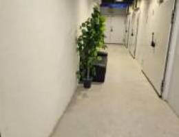  مخازن للايجار 