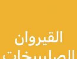  للإيجار شقه بالصليبيخات 