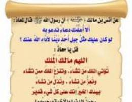  للأجار دور بسلوى 