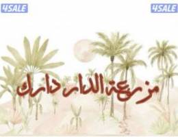  مزرعه العبدلي قطّعه ٦ تتكون من ٧ غرف  ٣ حمامات (  للتواصل وتس اب فقط ) 