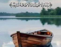  مطلوب مزرعه للايجار من ٢٠ الف الى٥٠ الف فاضيه بس ضروري كهرباء موجوده 