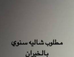  مطلوب شاليه سنوي 7 غرف أو أكثر كامل غير مقسوم صف أول 