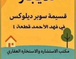 للإيجار قسيمة  سوبر سوبر ديلوكس في  فهد الأحمد ق ٤ 