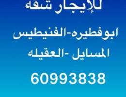  للإيجار شقه في ابوفطيره والمسايل والفنيطيس 