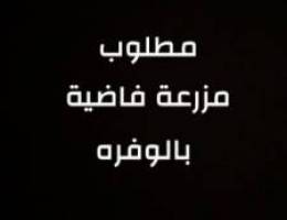  مطلوب مزعة بالوفرة 