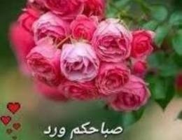  للايجار شقه بصباح الاحمد ٣غرف صاله ٣حمام مطبخ غ خ سيراميك سنترال ٢مصفط 