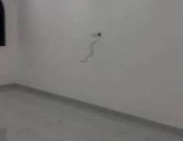  المطلاع n12 شقة للاجار موقع ممتاز ٣ غرف وحمامين ومطبخ  سنترال مصفطين 