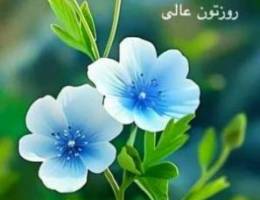  للايجار بيت بالمنقف قطعه ٣ شارع واحد جديد 