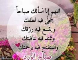  للايجار دور اول بابوفطيره ٤غرف نوم غ خ صاله ٥حمام  بالكونه 