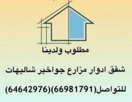  للايجار شقه في ابو فطيره دور ارضي ٤ غرف نوم ٣ حمامات 