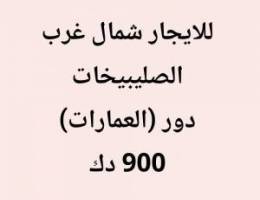  شمال غرب الصليبيخات دور علي البحر 