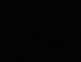  مطلوب شقه للاجار السنوي في مكه العزيزيه التواصل مع المالك مباشره 