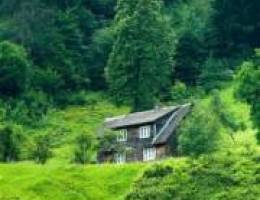  للايجار شقه ارضيه مدخل خاص 