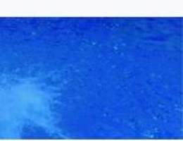  للإيجار جخور يومي 