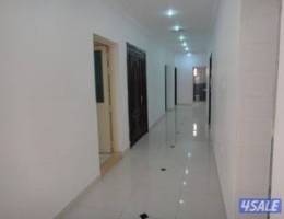  للايجار دور في المنقف 