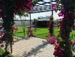  للايجار استراحه في كبد سوبر ديلوكس ايجار يومي فقط عوائل 