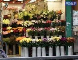  للضمان محل ورد سوق كرز الجهراء 