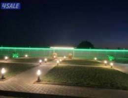  مزارع الوفرة 