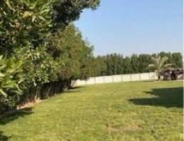  ‏للإيجار مزرعة بالوفرة قيمة الإيجار الشهري فترة طويلة 