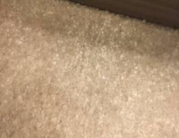  شقه للايجار 