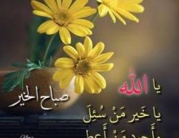  للايجار شقه بصباح الاحمد ٣غرف صاله ٣حمام مطبخ غ خ سيراميك سنترال مصعد 