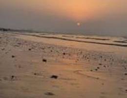  سكن مشترك صباح السالم 