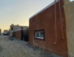  للاجار اسطبل في الجهراء 