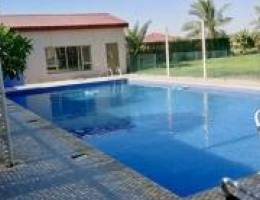  للإيجار اليومي مزارع في الوفرة 