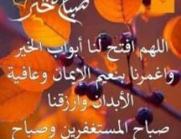  للايجار شقه ٣ غرف نوم بالروضه قطعه ٣ 