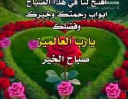  للايجار دور ارضي بسعد ق٥ ٤ غرف وصاله ومطبخ ودونيه ٣ حمام 