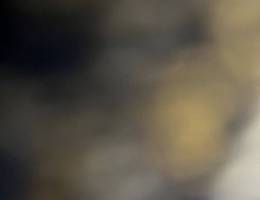  مشاركة مخزن 