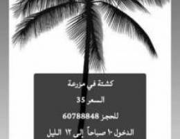  للايجار كشته في مزرعه 