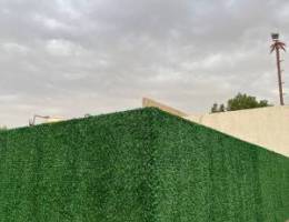  استراحة للإيجار الشهري 