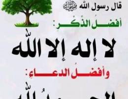  للايجار قسيمة صناعيه بمنطقة الري موقع متميز جدا على الدائري الخامس 