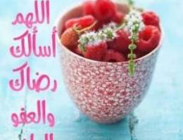  لأيجار شقه ارضيه بأم الهيمان مدخل مستقل مع حوش صغير غرفتين وصاله ومطبخ 