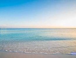  للإيجار أرض فضاء مباشرة على البحر 