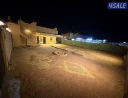  للاجار جاخور في كبد 