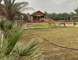  مزرعة الياقوت الوفره 