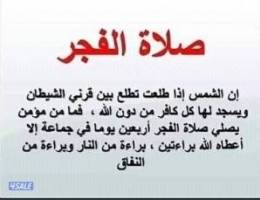  للايجار مطبخ مركزي في المرقاب 