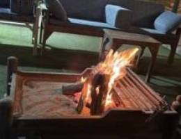  محاضر طيور ودجاج 