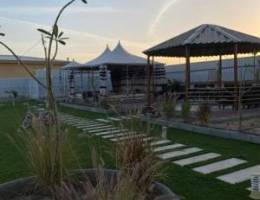  مزرعة الوفرة 