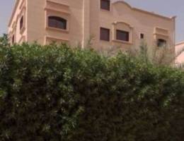  لإيجار شقة في العارضية 